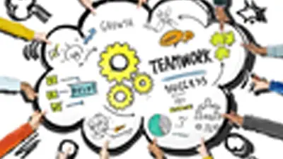 Why A Team of Business Professionals?