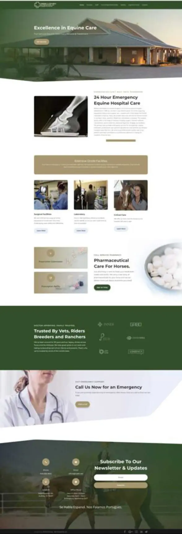 Website Portfolio Images