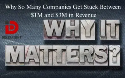 Why So Many Companies Get Stuck Between $1M and $3M in Revenue