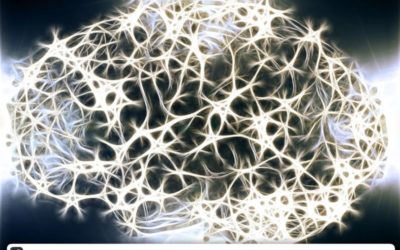 The Value of Organizational Communication, Accountability and Alignment.